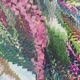 botanical garden Single