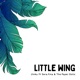 Little Wing feat Sera fina The Paper Dolls Single