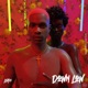 Down Low Single