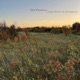 The Promise Single