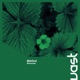 Microscope Single