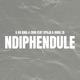 Ndiphendule feat Spoja Single