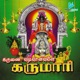 Karunai Vadivanavale Karumari