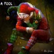A Fool Single