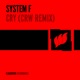 Cry Crw Remix Single