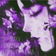 FLORAL EUPHORIA Single