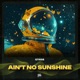 Ain t No Sunshine Melodic Techno Single