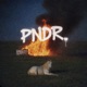 PNDR