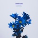 Counting Stars Single