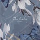 The Calm Single