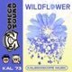 Wildflower Single