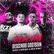 Ela Vai Descendo Gostosin feat DJ Patrick Muniz Single