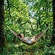 Relájate Mientras Descansas Bajo las Copas Verdes de un Bosque Encantador Single