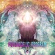 Psychedelic Program Single