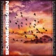 Sommerregen Single