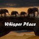 Whisper Place Single