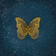 Butterfly Single