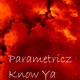 Know Ya Single