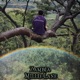 Zambia Single