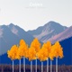 Colors Single