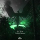 Seen feat Veronica Bravo Ponzoo Remix Single