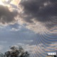 phlēolakee EP