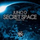 Secret Space Single
