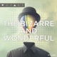 The Bizarre and Wonderful