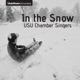 In the Snow Single