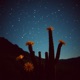 Desert Rose feat Jason M Single