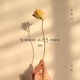 Together 2023 Single