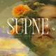 Supne Single