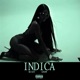 INDICA might know Single