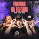 PROCURA NA REVOADA Single