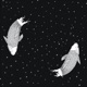 Pisces Single