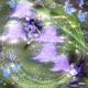 FULL CIRCLE Single