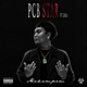 PCB STAR feat 2Sea Single