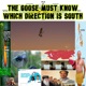 The Goose Must Know Which Direction is South