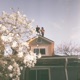 Falling feat Teo Laza Single