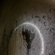 Angel Single