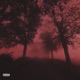 stay4me feat Superybf Mike Labyrinth Single