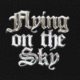 FLYING ON THE SKY Single