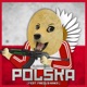 Polska feat Frequ Ninka Single
