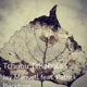 Tchubu Tchabala feat Patrick Beckham Single