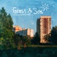 Grass Sun Single
