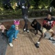 Lavish feat D5 Single