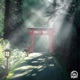 Hidden Shrine Single
