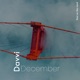 December Single