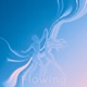 Flowing Single
