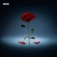 Severed Rose Single